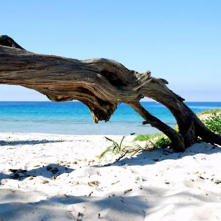 Villa Indipendente A Ridosso Della Spiaggia Per 10 Persone